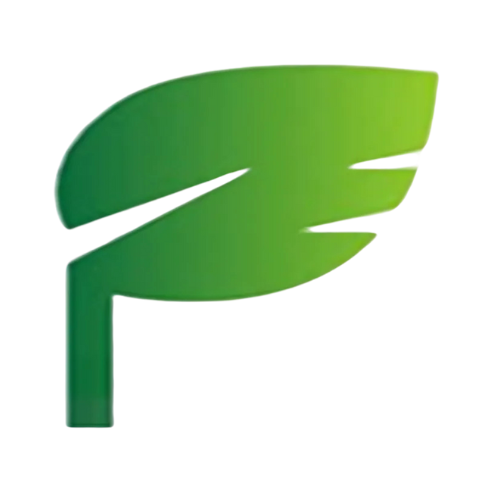 FVISION